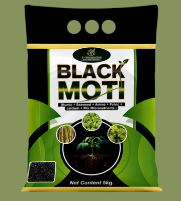 BLACK MOTI